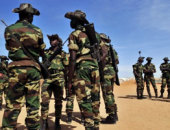 جيش السودان يؤكد استعداده لخوض عمليات قتالية ضد متمردى جنوب كردفان