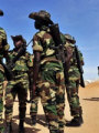 جيش السودان يؤكد استعداده لخوض عمليات قتالية ضد متمردى جنوب كردفان